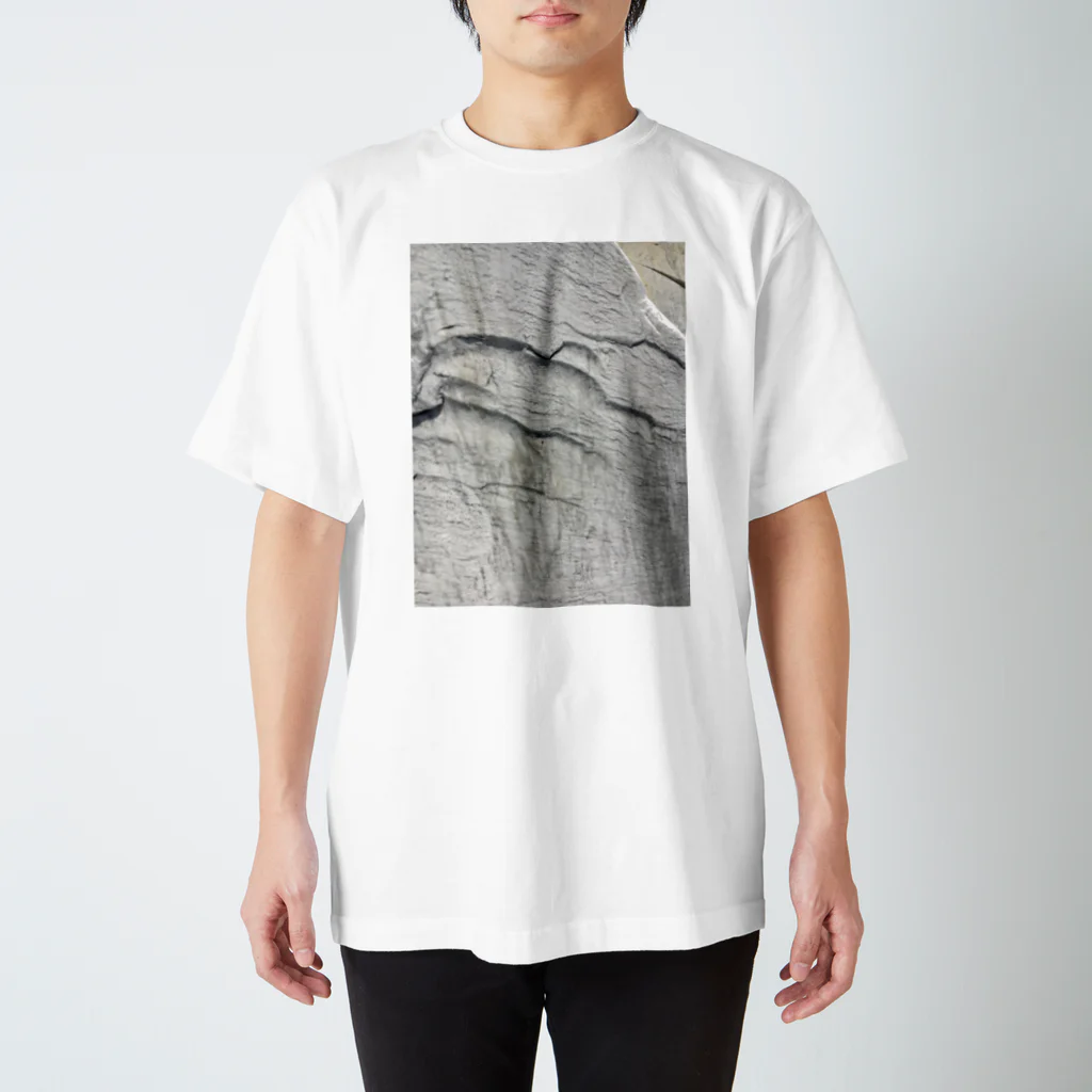 スミッコ屋の石の模様-2 Regular Fit T-Shirt