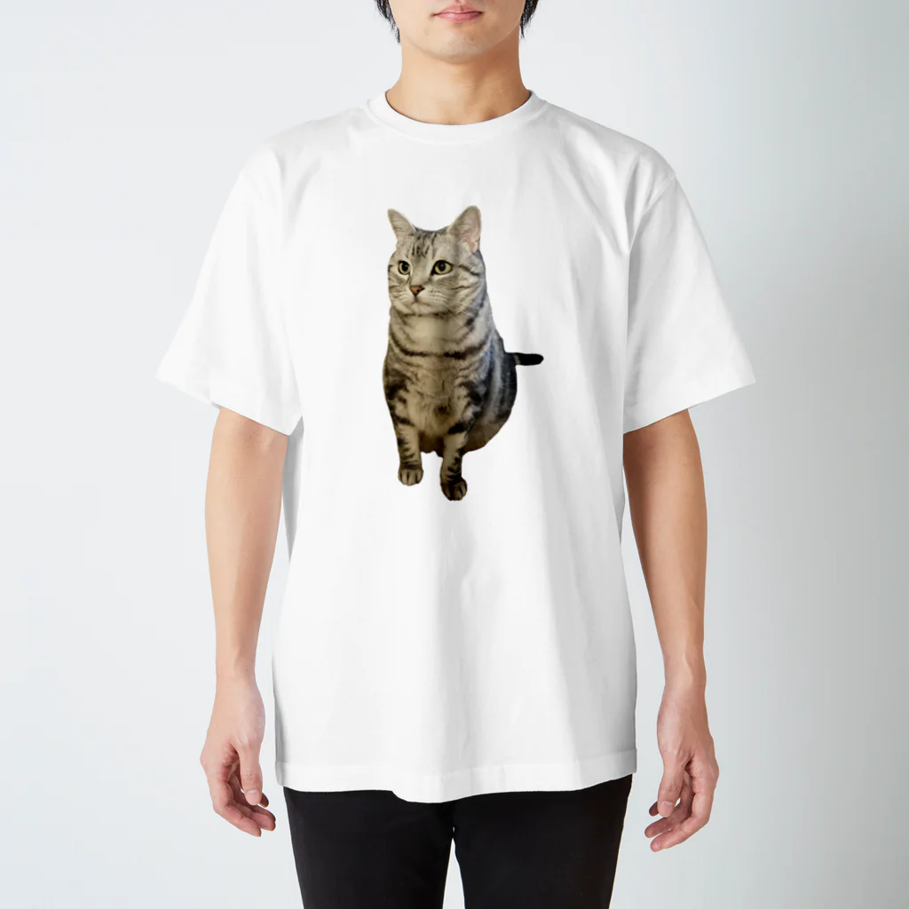 kanisukiのカイきゅん Regular Fit T-Shirt