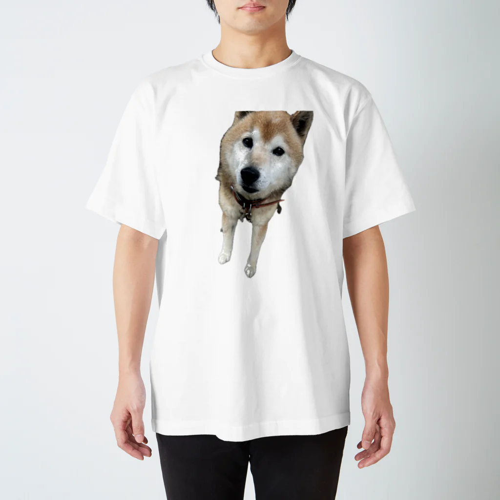 JejejeのひゅうがTシャツ Regular Fit T-Shirt