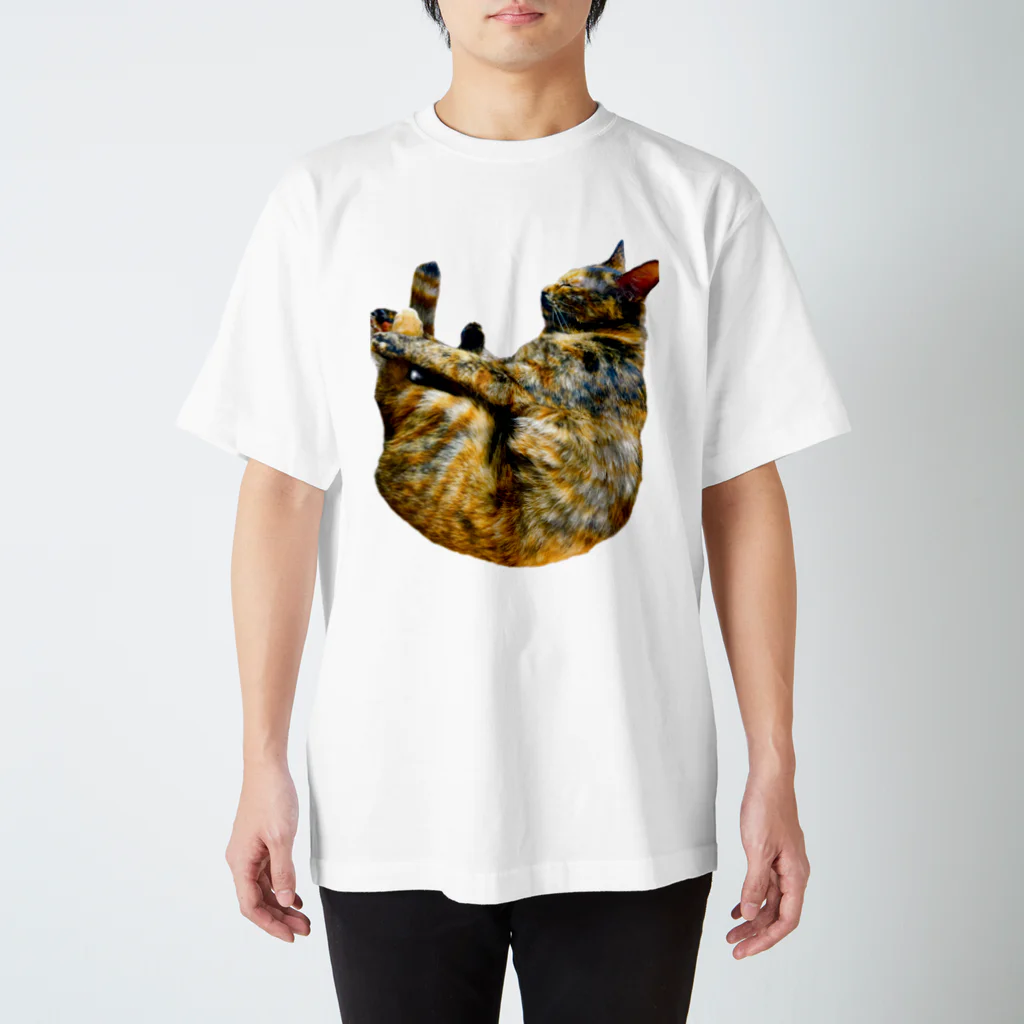 ふくねこのさび　1 Regular Fit T-Shirt