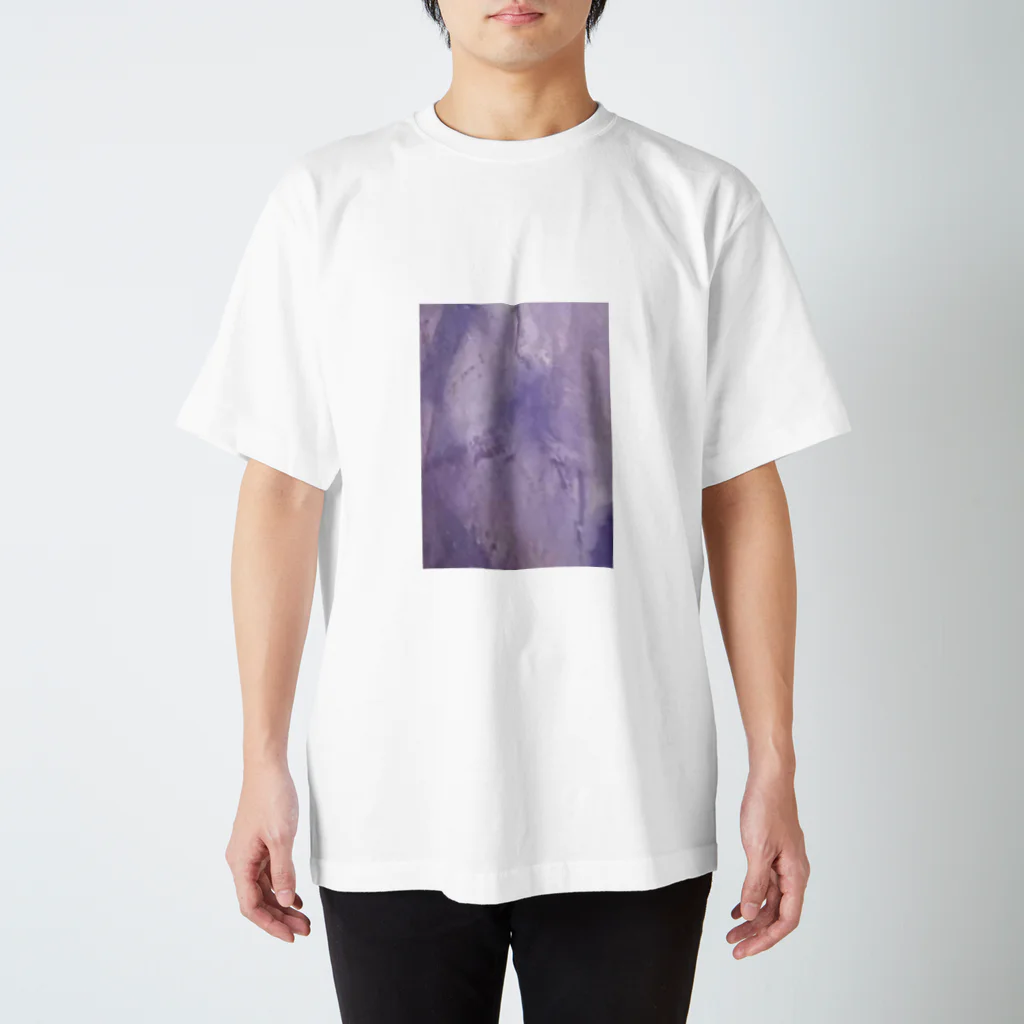 malxileの左官の壁　VIOLET Regular Fit T-Shirt