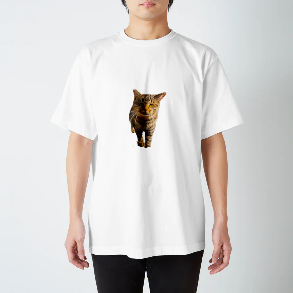 猫島のじかんのごめ～んにゃさい スタンダードTシャツ