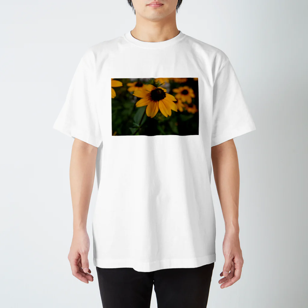 ドローイングGalleryの花　ルドベキア スタンダードTシャツ