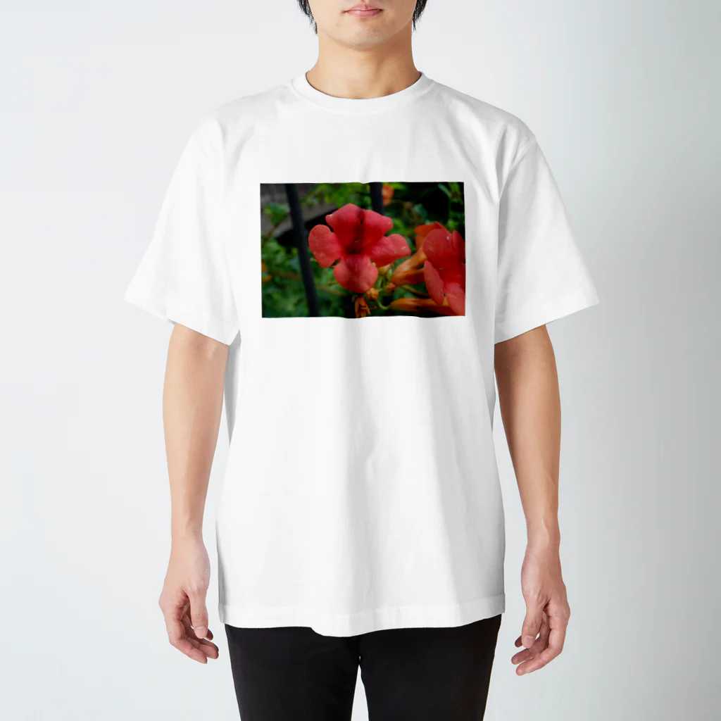 ドローイングGalleryの花　ノウゼンカズラ スタンダードTシャツ