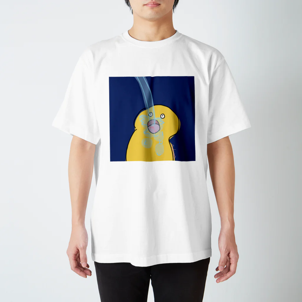 Andersonのきいろちゃん スタンダードTシャツ