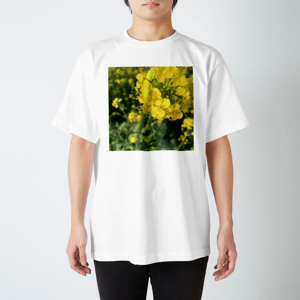 ぐうこの菜の花畑 スタンダードTシャツ