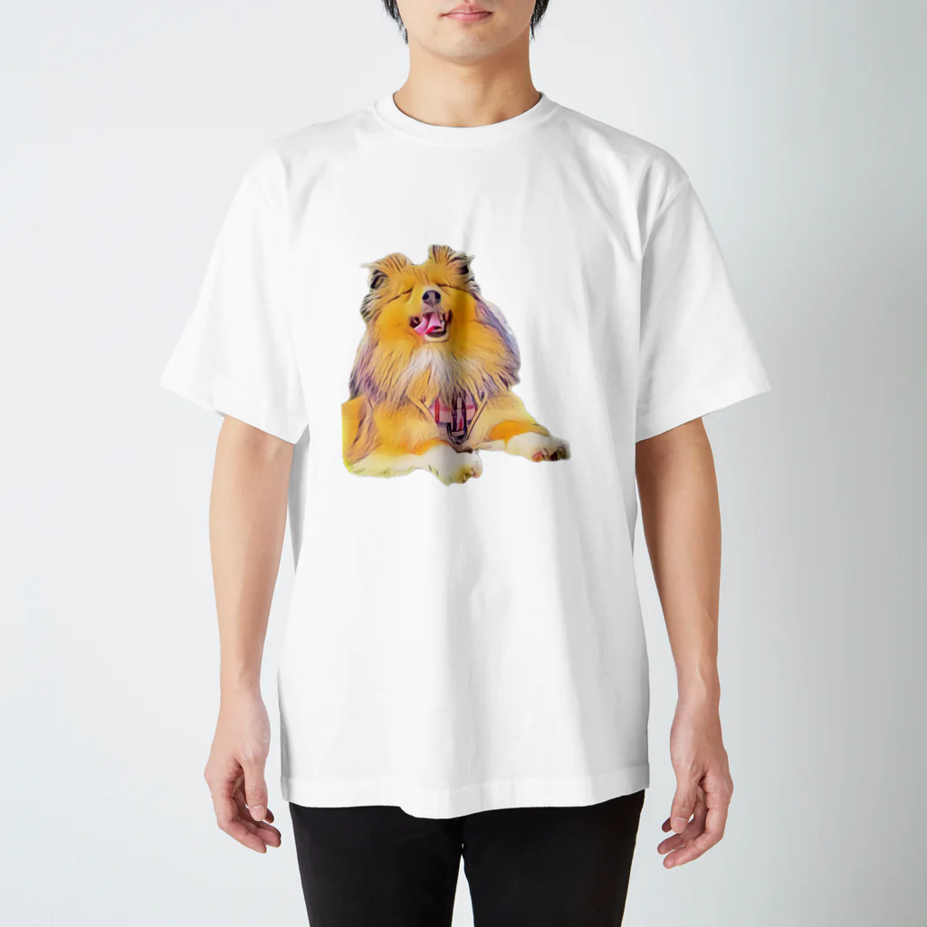 シェルティのまろんこちゃんのまろんこちゃん スタンダードTシャツ