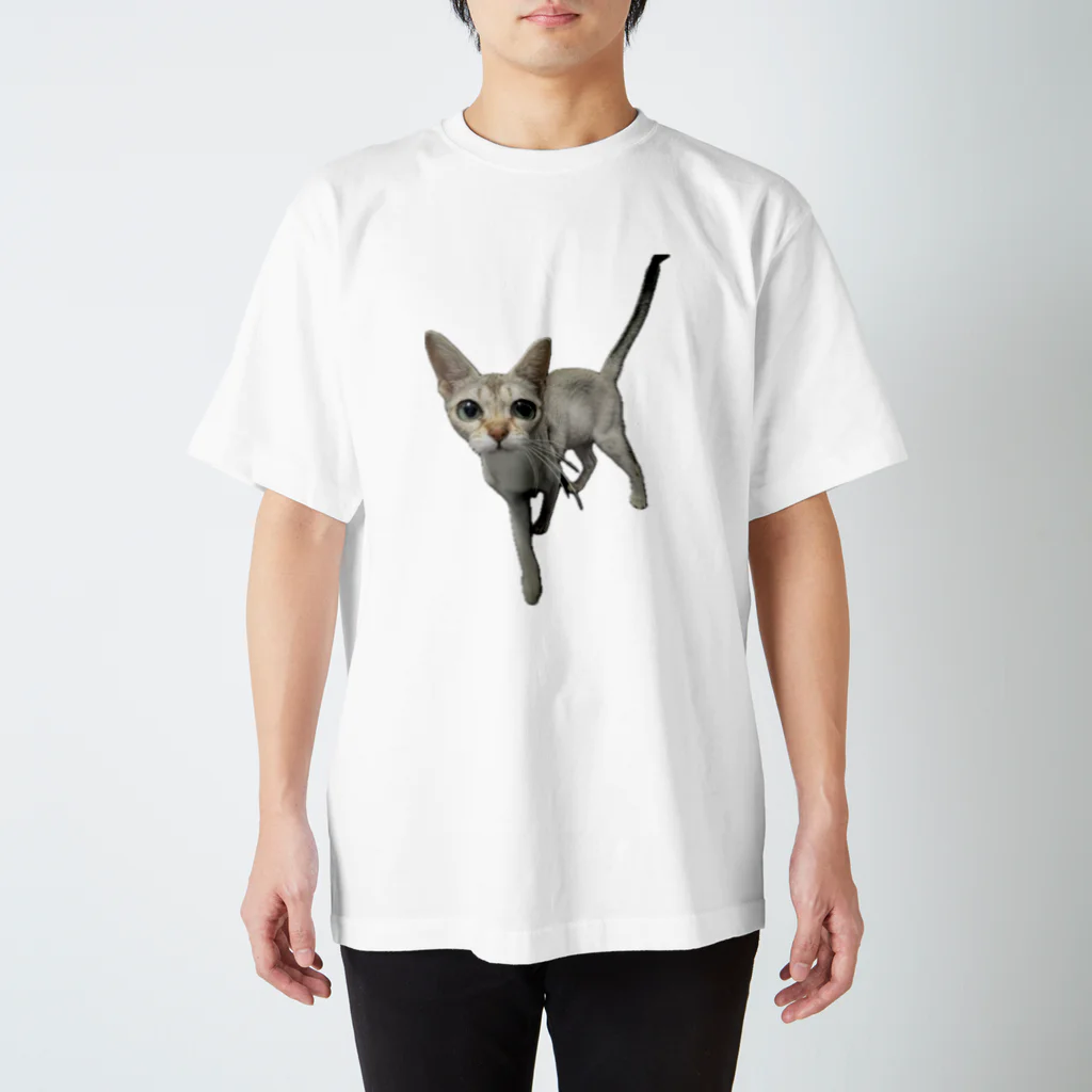 chihiroadsterのシンガプーラ Regular Fit T-Shirt