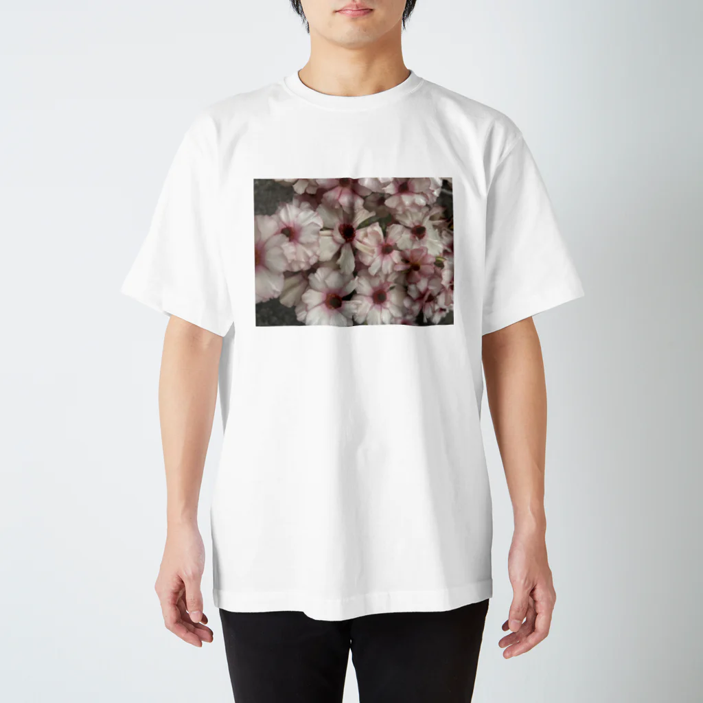 otootoのびっくふらわーソックス Regular Fit T-Shirt