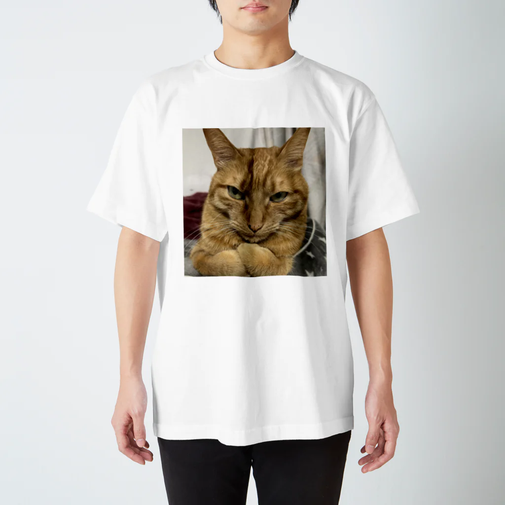 ミシン工房Mayの猫好きさんのトラくんTシャツ Regular Fit T-Shirt