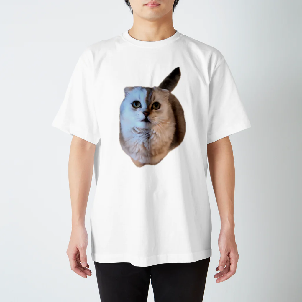 いらっしゃいませのフクロウみたいな猫 スタンダードTシャツ