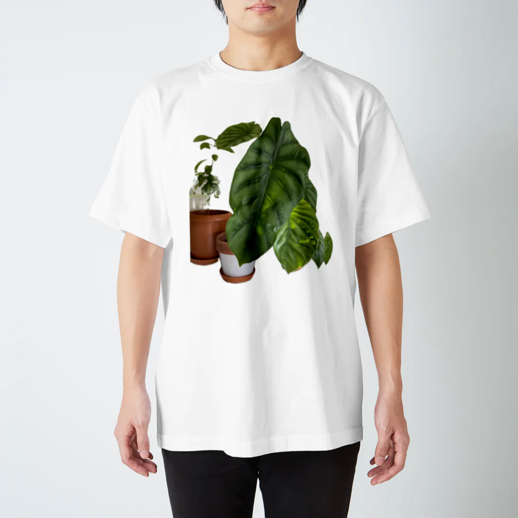 Alocasia17の Alocasia Regular Fit T-Shirt