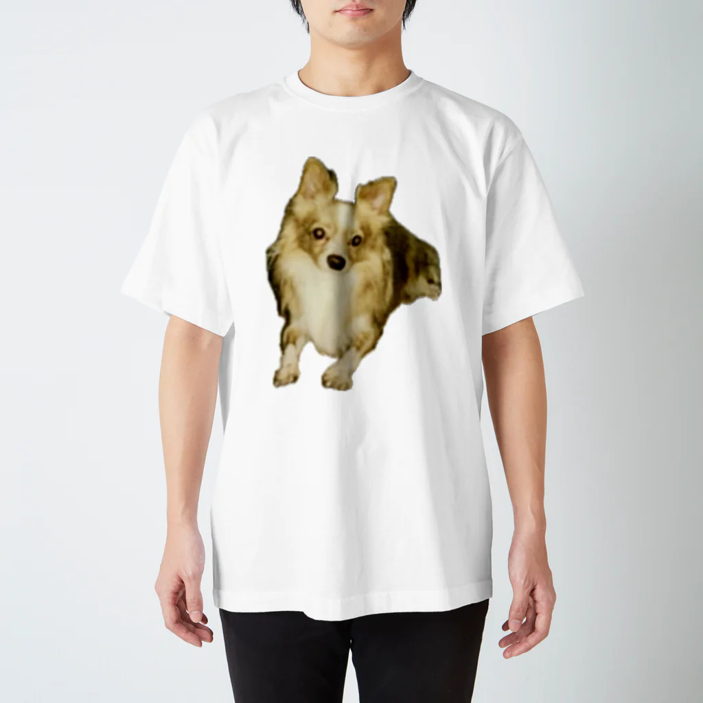 ゲドテコデータプールセンターの犬1号 Regular Fit T-Shirt