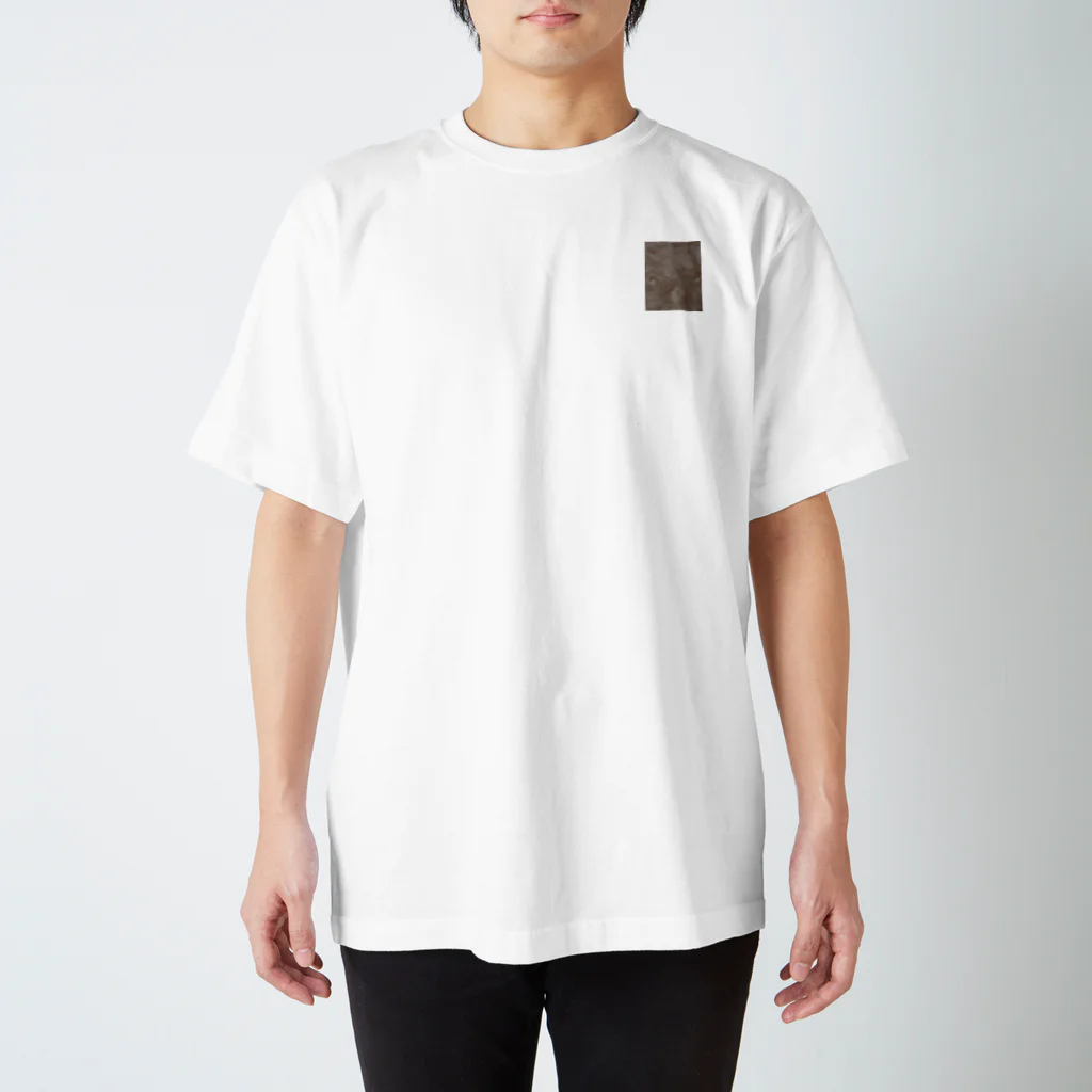 malxileの左官の壁　HOMURA Regular Fit T-Shirt