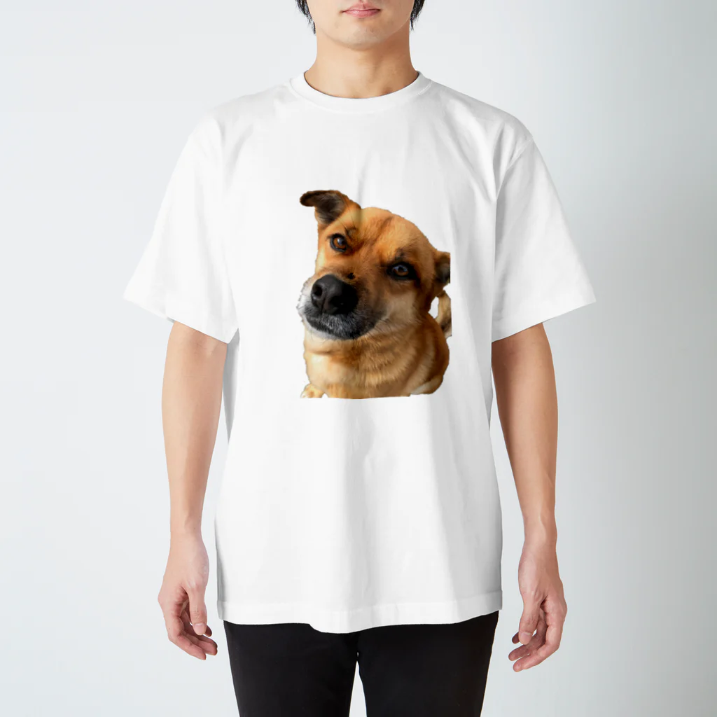 OSAKA NEIGHBORの雑種犬こたろうくん スタンダードTシャツ