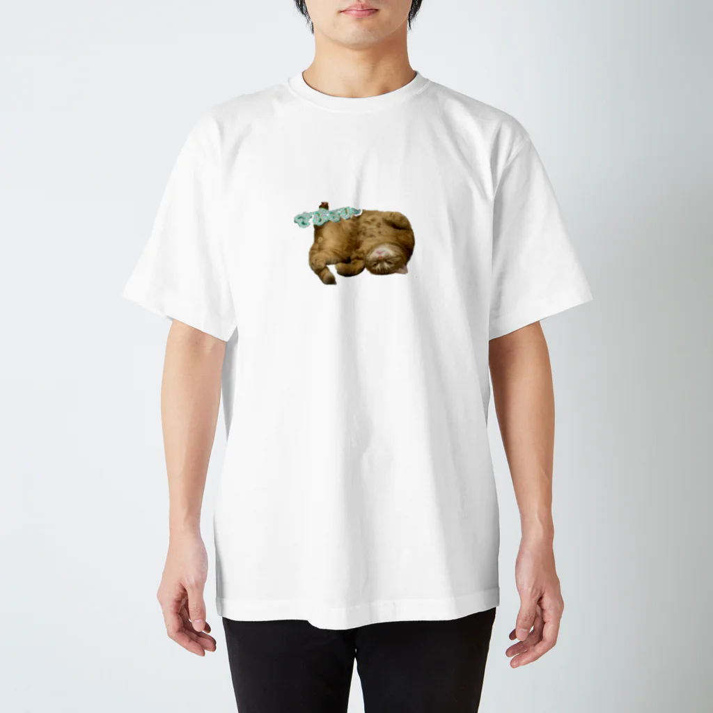 猫アルバム 〜猫好きさん集まれ！猫グッズも紹介〜のごろ～んちょびくん Regular Fit T-Shirt