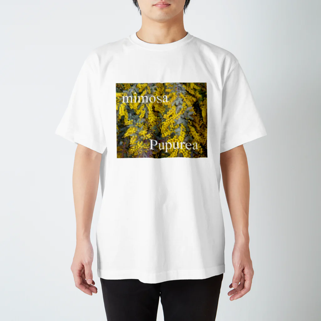 To-You133のMimosa　Pupurea スタンダードTシャツ