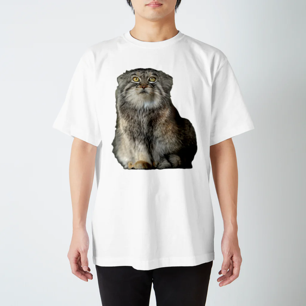 otocolobus manulのワンポイントマヌル Regular Fit T-Shirt