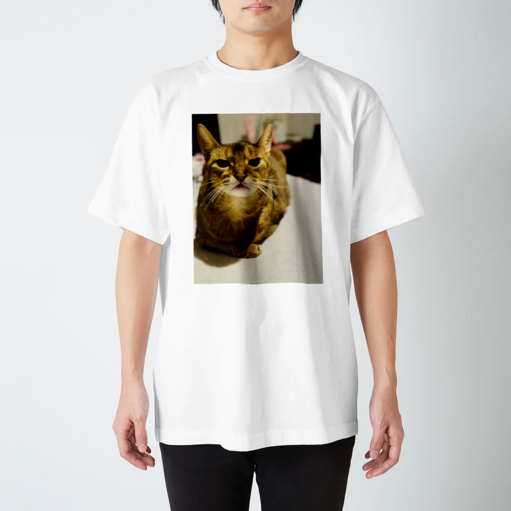 ゆるやかな、ねこのゆるやかな、ねこ(かわいい) スタンダードTシャツ