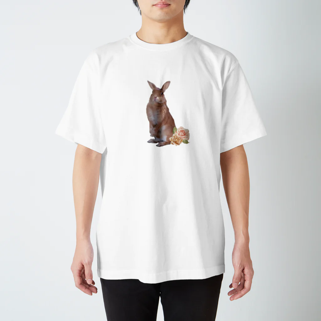 うさぎのうさちゃんのうさぎさんのTシャツ スタンダードTシャツ