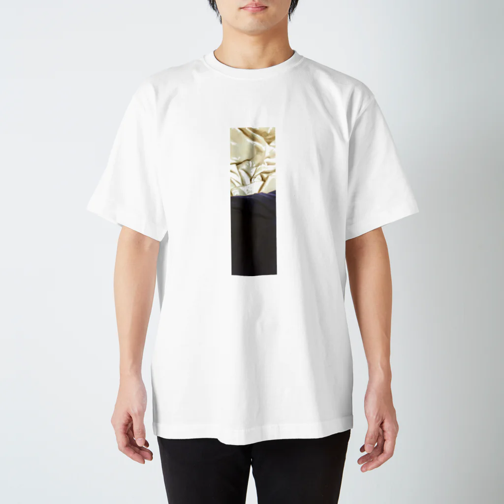 日山　拓志の二色 Regular Fit T-Shirt