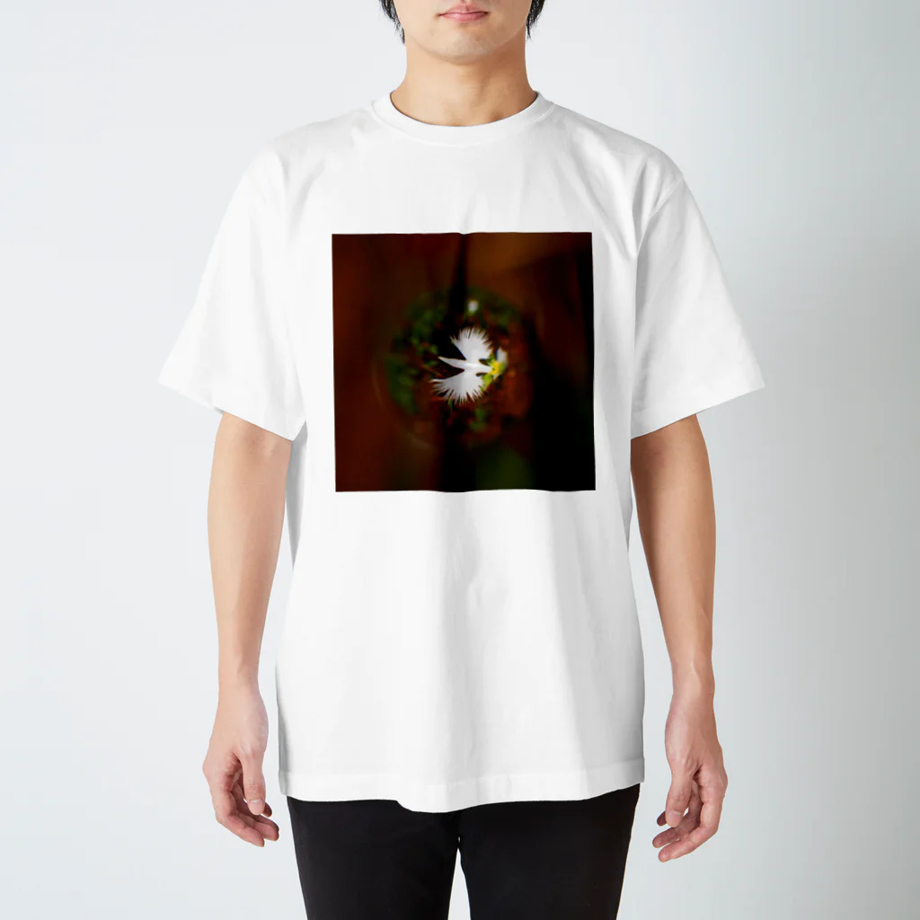 ハレとケのsoratama-fringed orchid スタンダードTシャツ