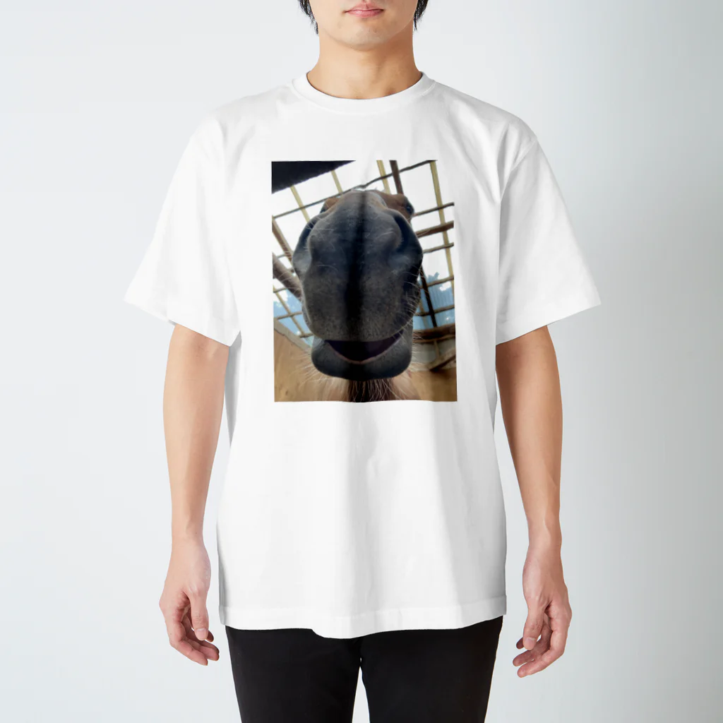 癒し馬始めましたのスパークシリーズ Regular Fit T-Shirt