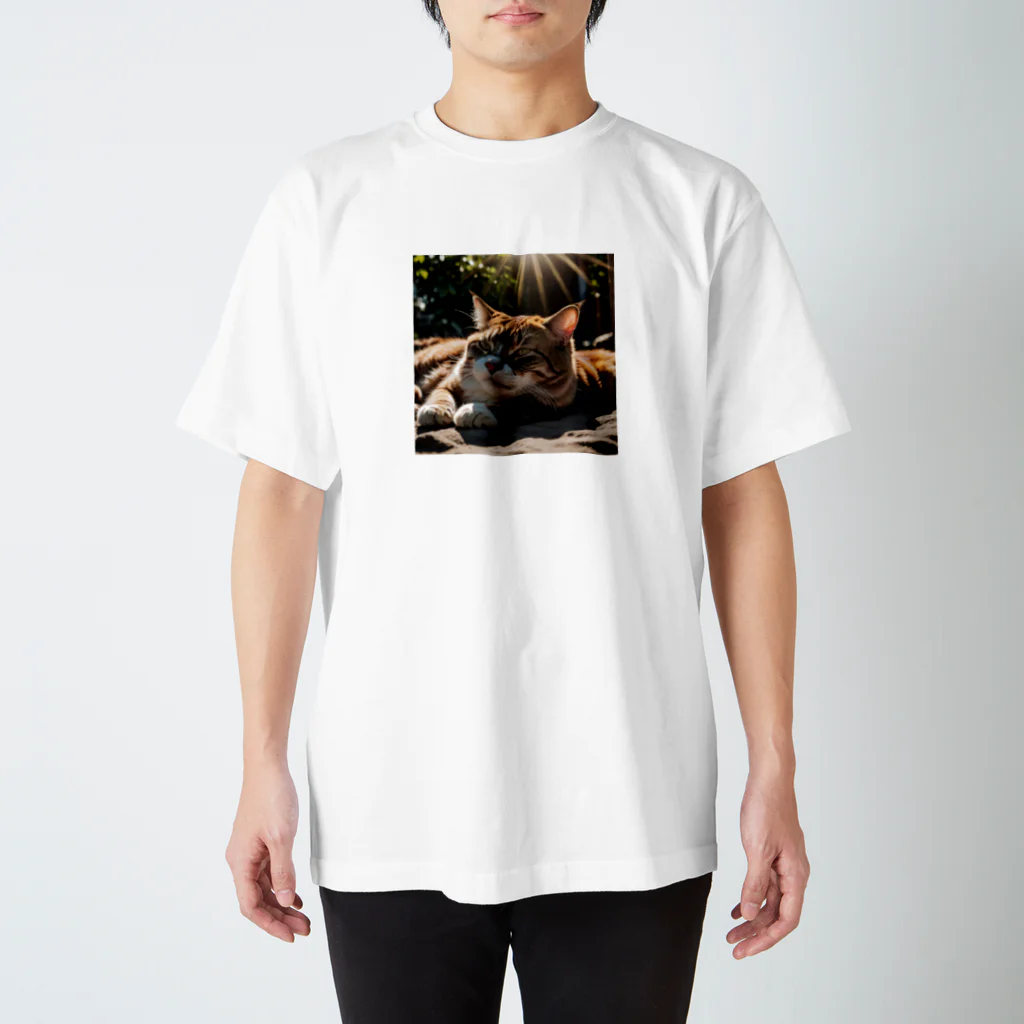 smoking-alcoholの黄昏猫 スタンダードTシャツ