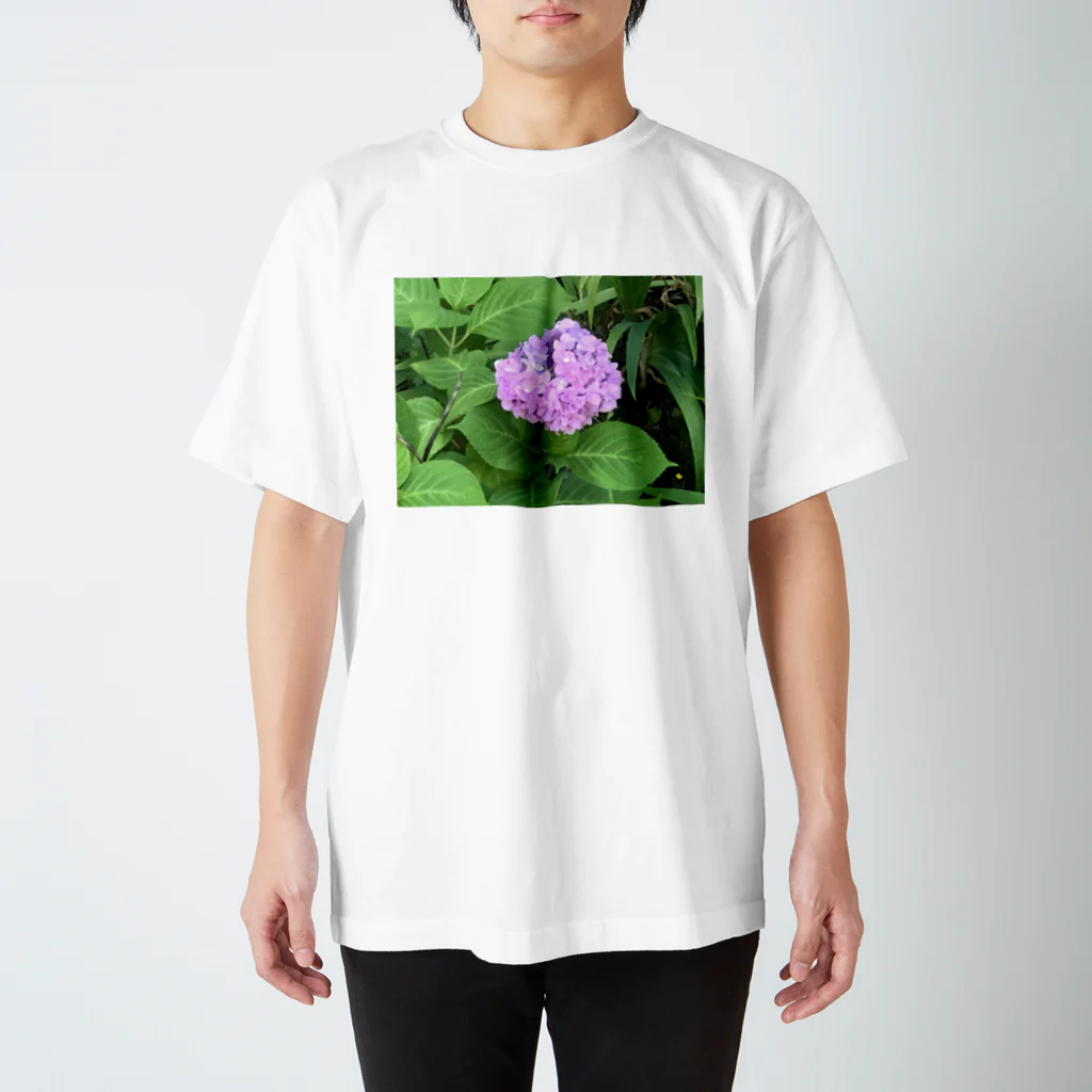 made32kurimuの健気に咲き乱れる紫陽花 スタンダードTシャツ