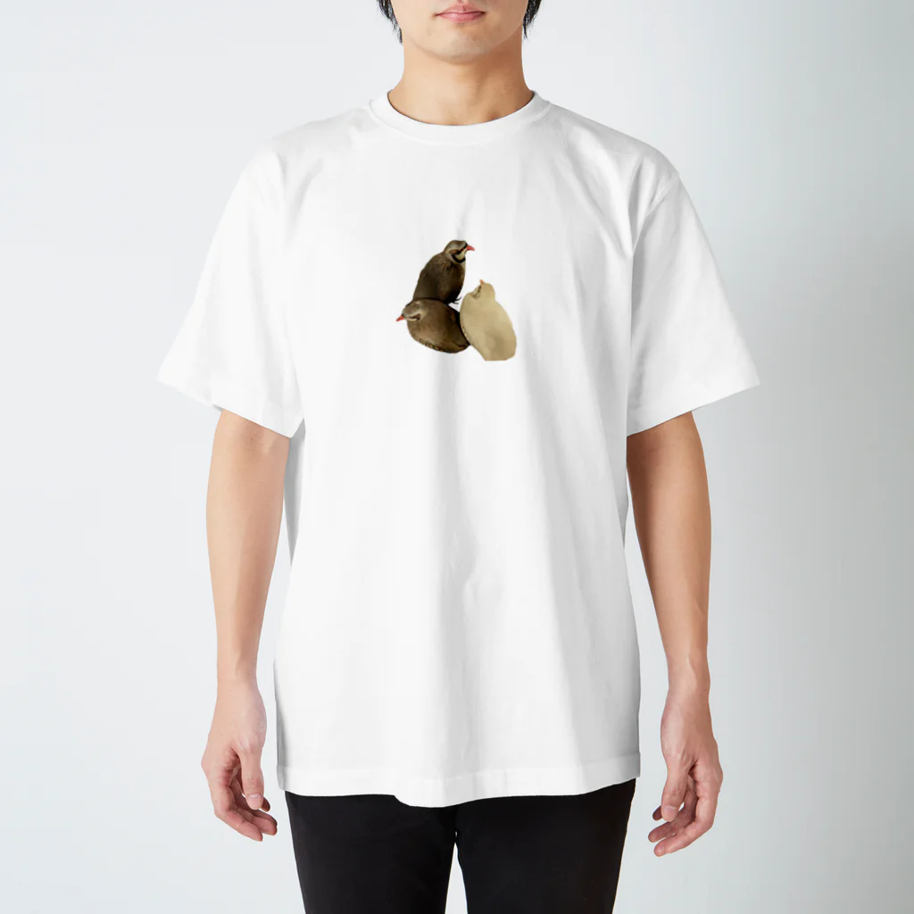 でぶんちょう🦆のぐるぐるイワシャコ スタンダードTシャツ