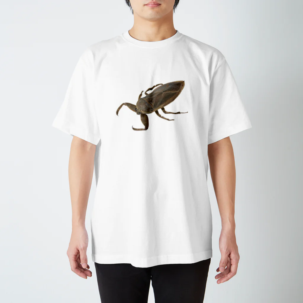 HemipteLoverのタガメ(写真) スタンダードTシャツ