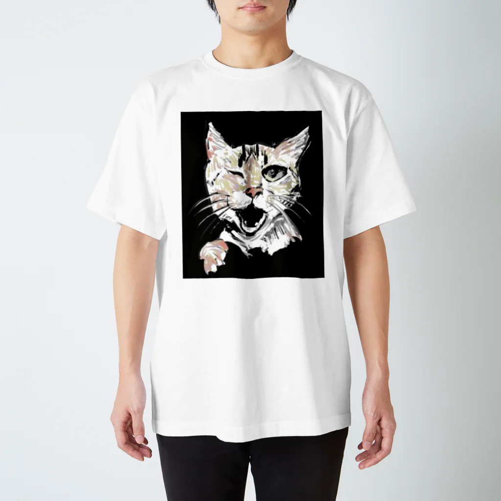 ねうねうにゃんたのねうねう_001（前面） スタンダードTシャツ