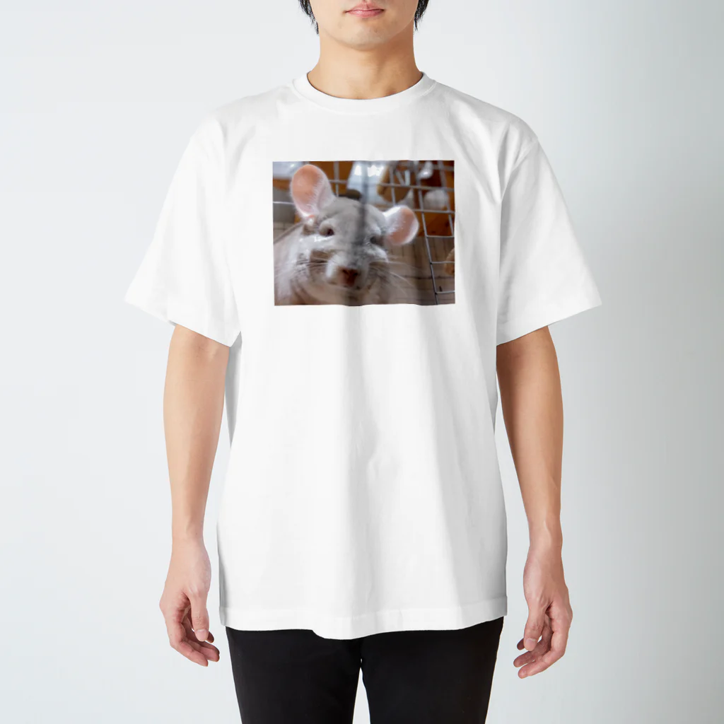 🐯タイガー🐯の愛しのさつま2024夏 スタンダードTシャツ