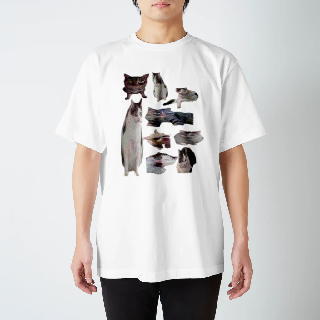 にゃんにゃんのねこいぬねこ Regular Fit T-Shirt