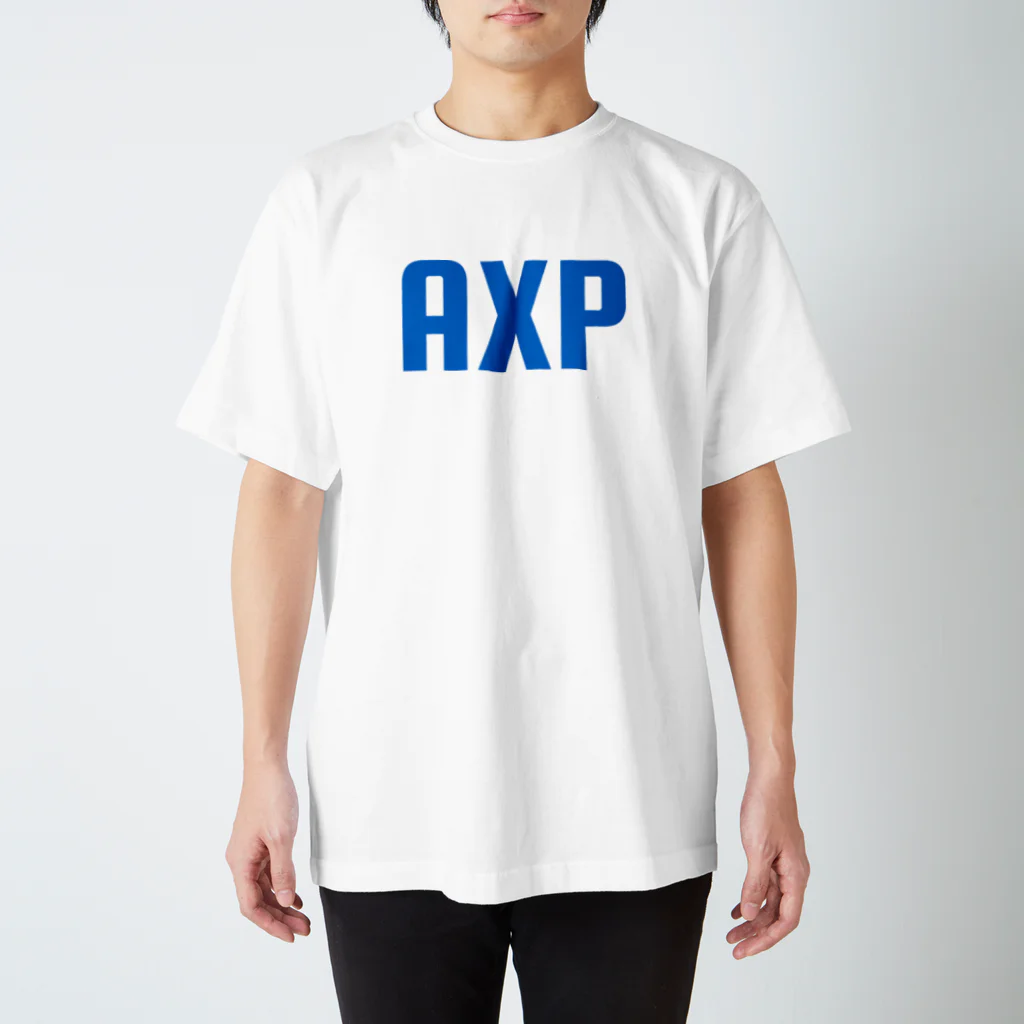 NANAME KIKAKUのAXP スタンダードTシャツ