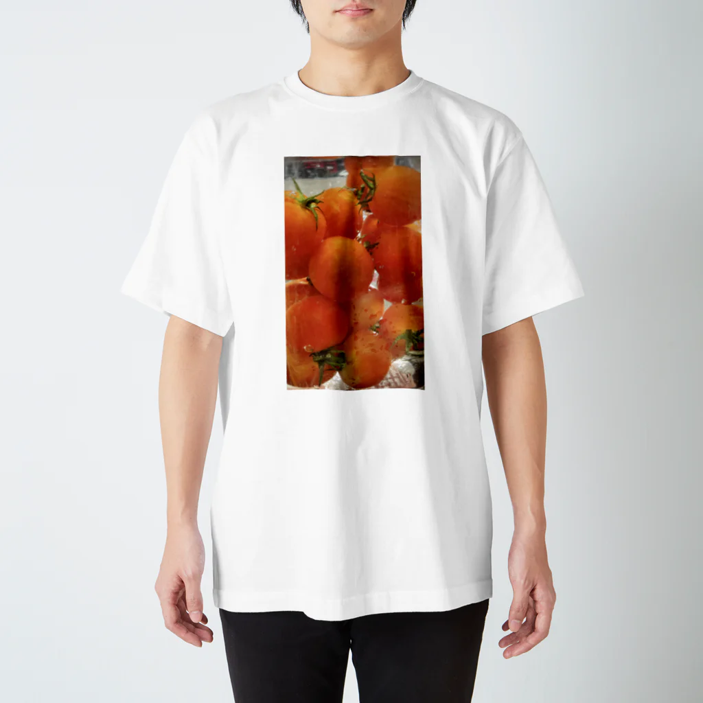 summerのぷちトマト スタンダードTシャツ