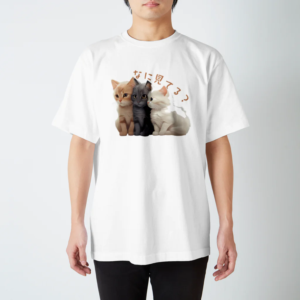 HappyFaceMarketのなに見てるのかな？３匹の子猫 スタンダードTシャツ