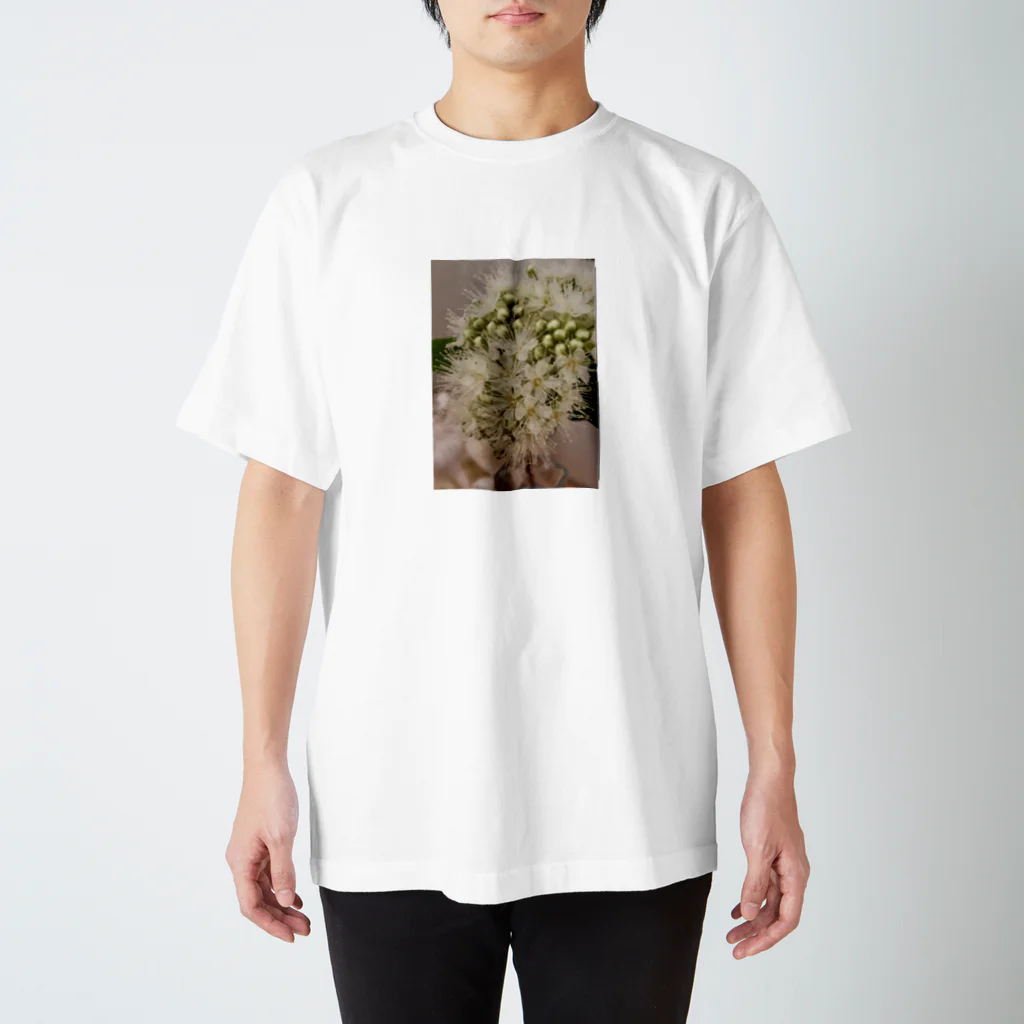 suikinleiのレモンマートルの花 Regular Fit T-Shirt