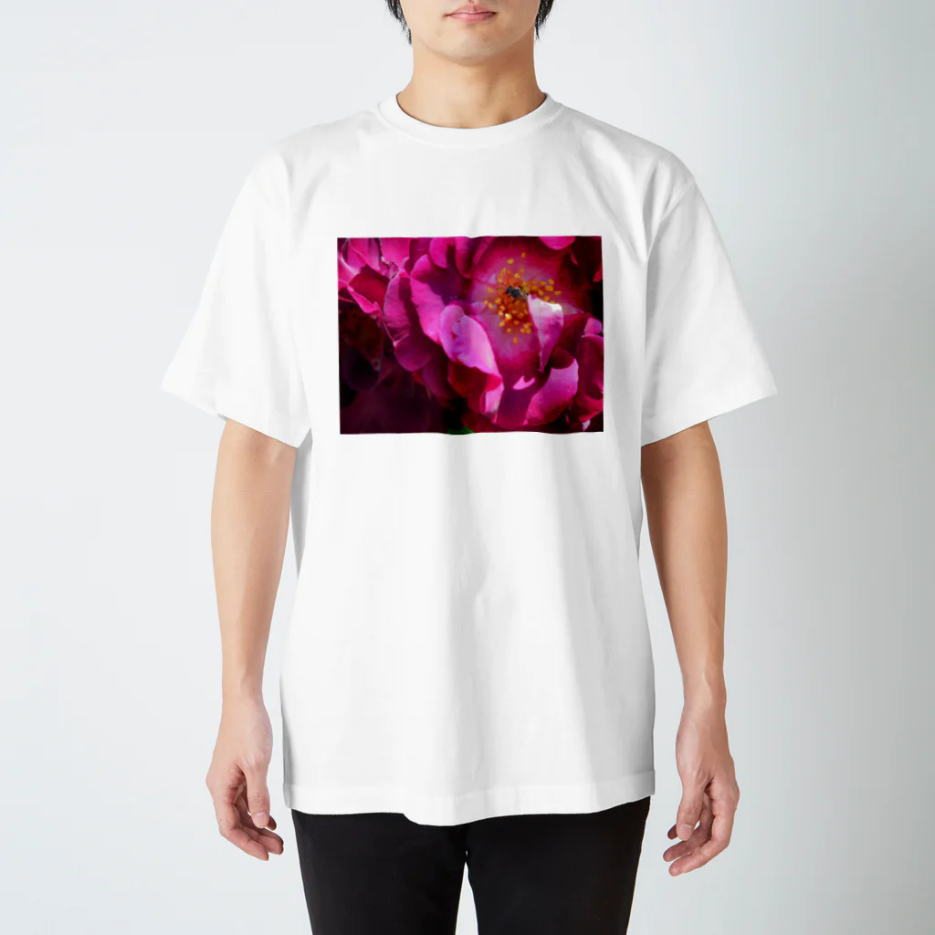 morinoyouseiの華やかな舞踏会！美しいバラを舞台に華麗なダンスをするハチ Regular Fit T-Shirt