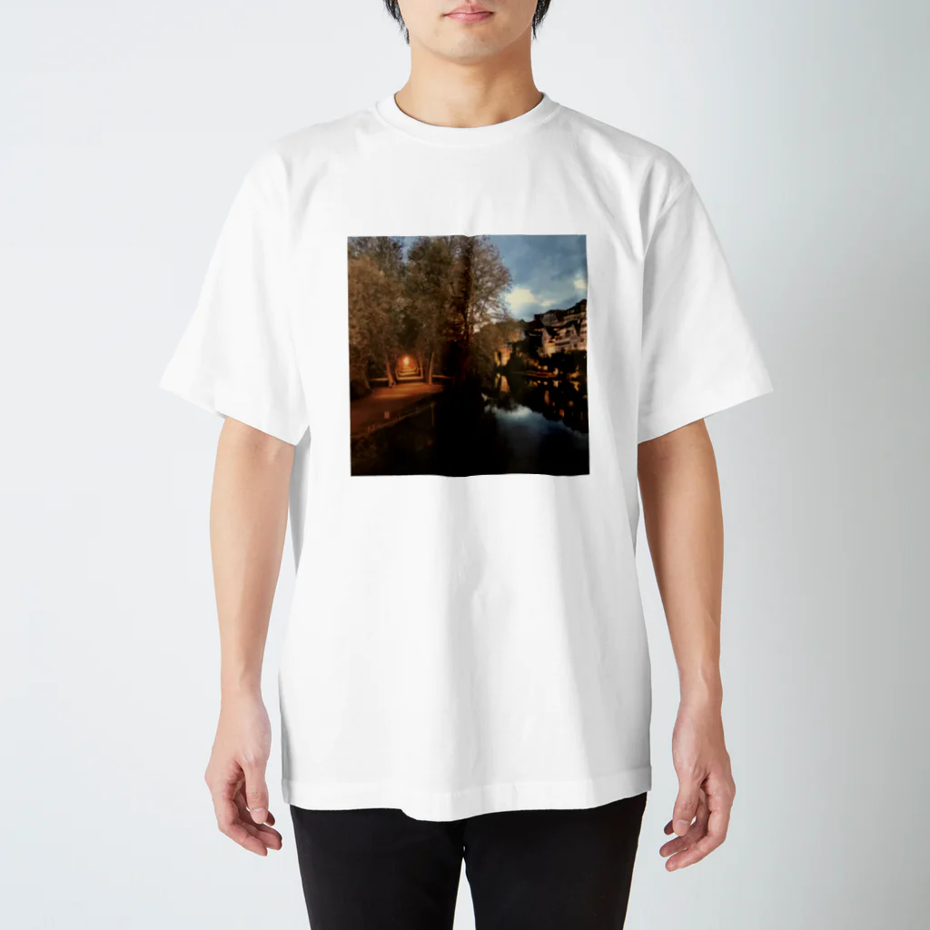 橘 清流@🇩🇪プロイセン愛のドイツ テュービンゲンの夜景 スタンダードTシャツ