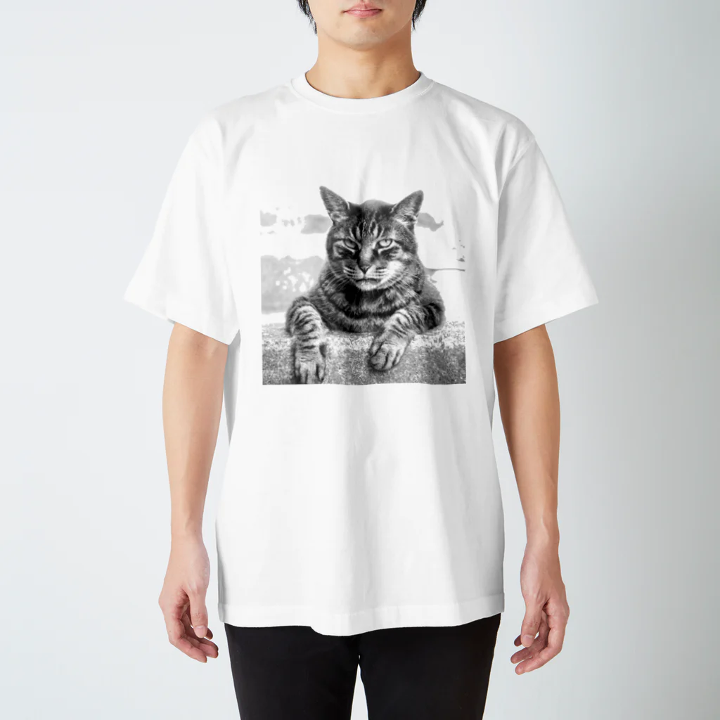 Cafe_antibesのドラちゃん 2 Regular Fit T-Shirt