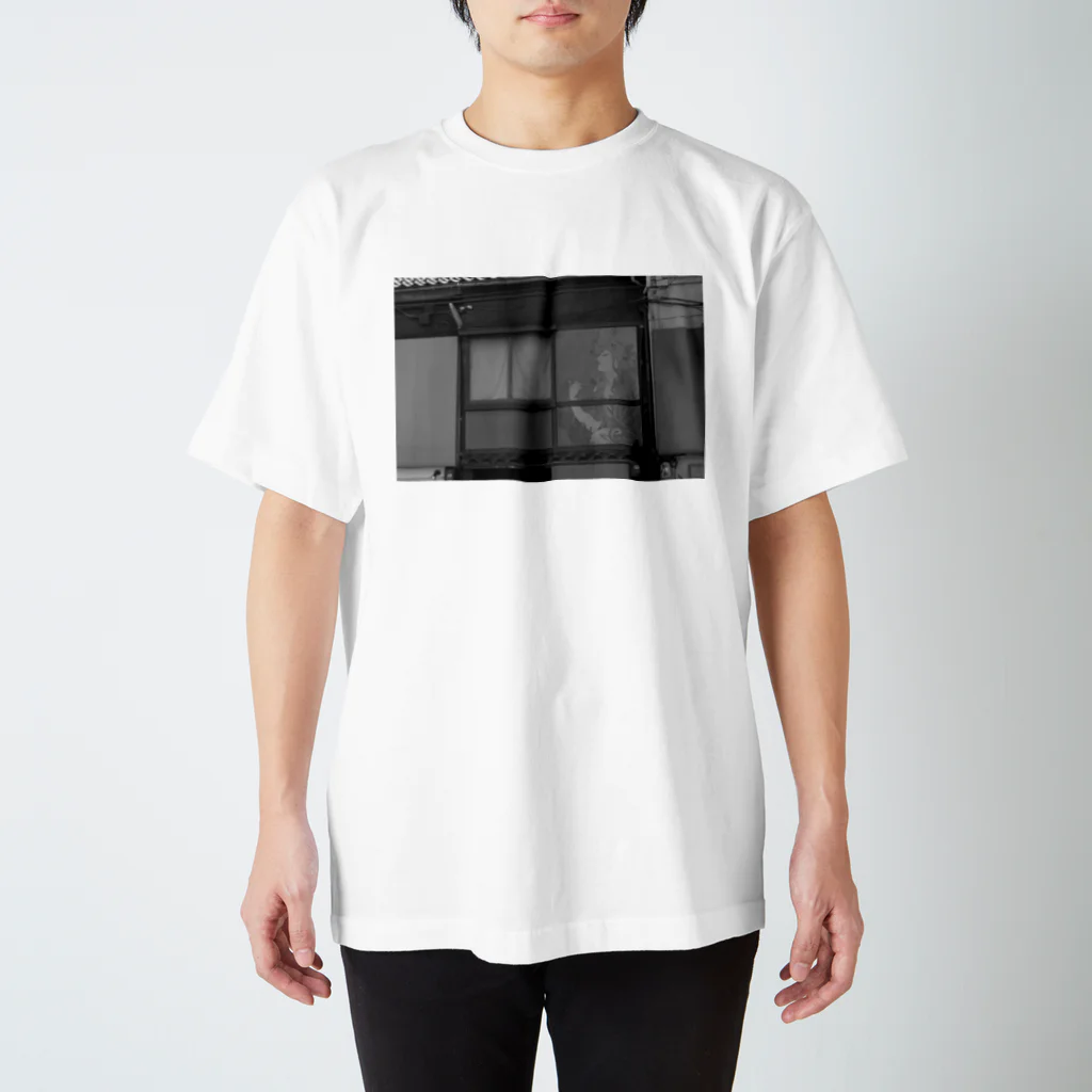 Tadakuni TaniのWindow Knows The Beauty Regular Fit T-Shirt