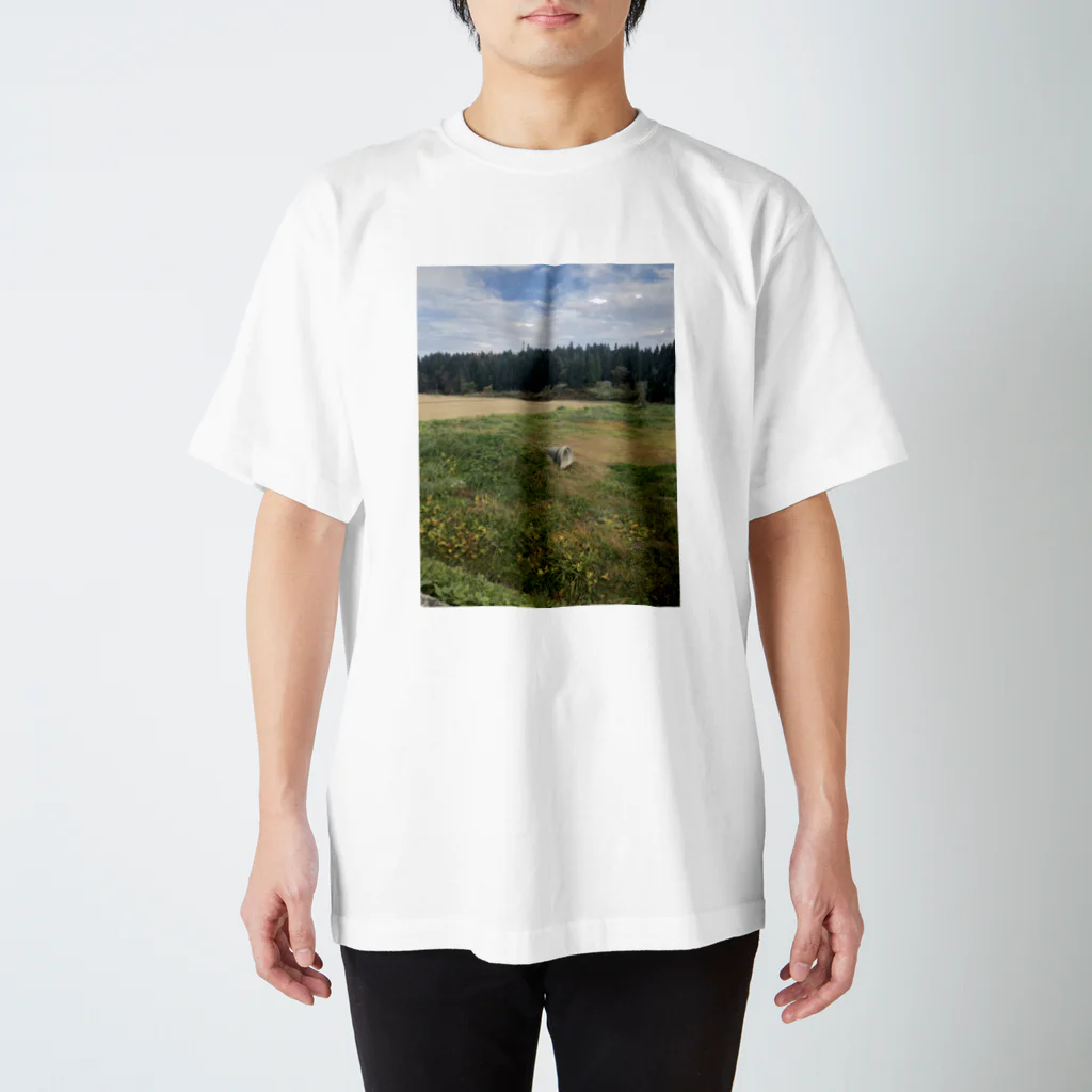 遺跡へ行きたいの堂平遺跡 スタンダードTシャツ