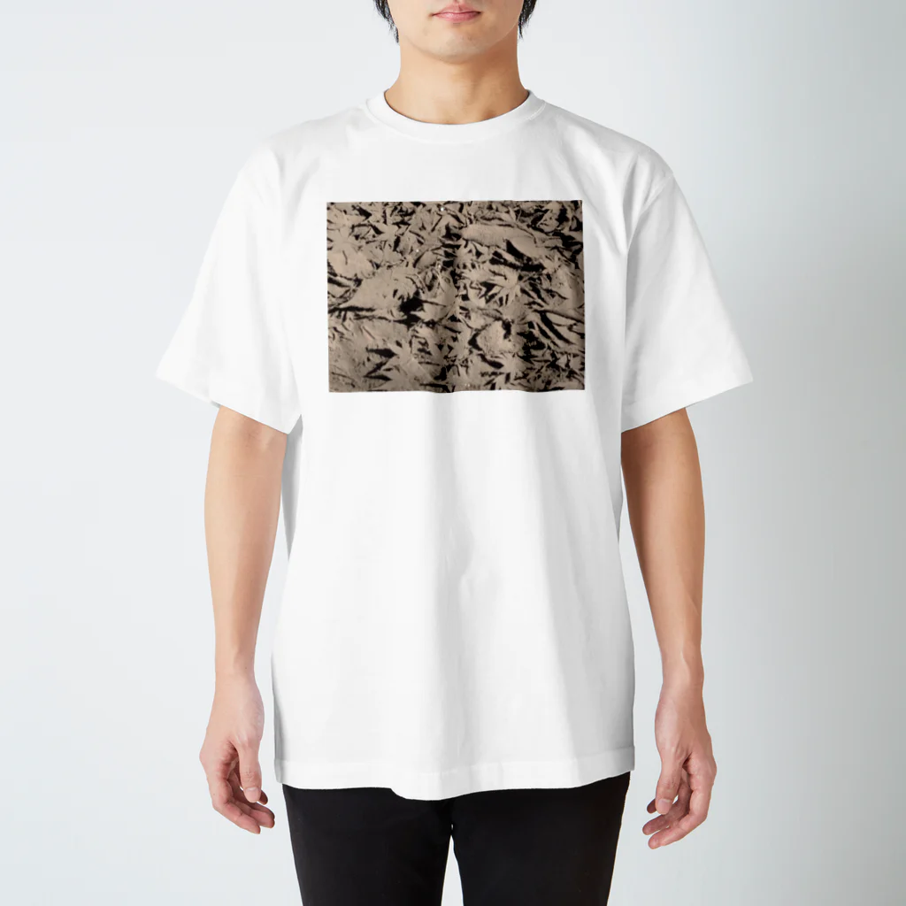 水族館の模糊 Regular Fit T-Shirt