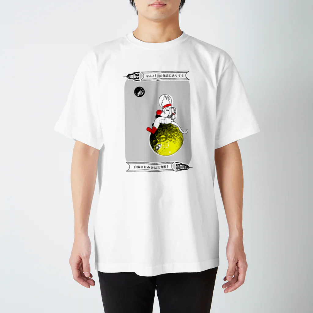 金星灯百貨店のなんと三角　月の海辺 スタンダードTシャツ