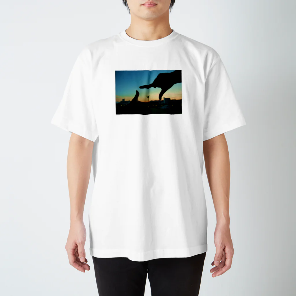 かっぺいしょっぷぅのおーとふぉーかす スタンダードTシャツ