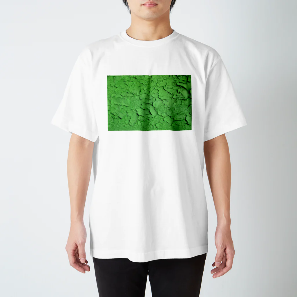 EagleValleyのKAWAKI_g スタンダードTシャツ