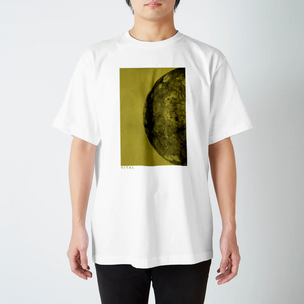スタッシー チェリーズ ティーシャツ ホワイト Size【XL】 STUSSY ステューシー 25SS STOCK TOKYO TEE WHITE
