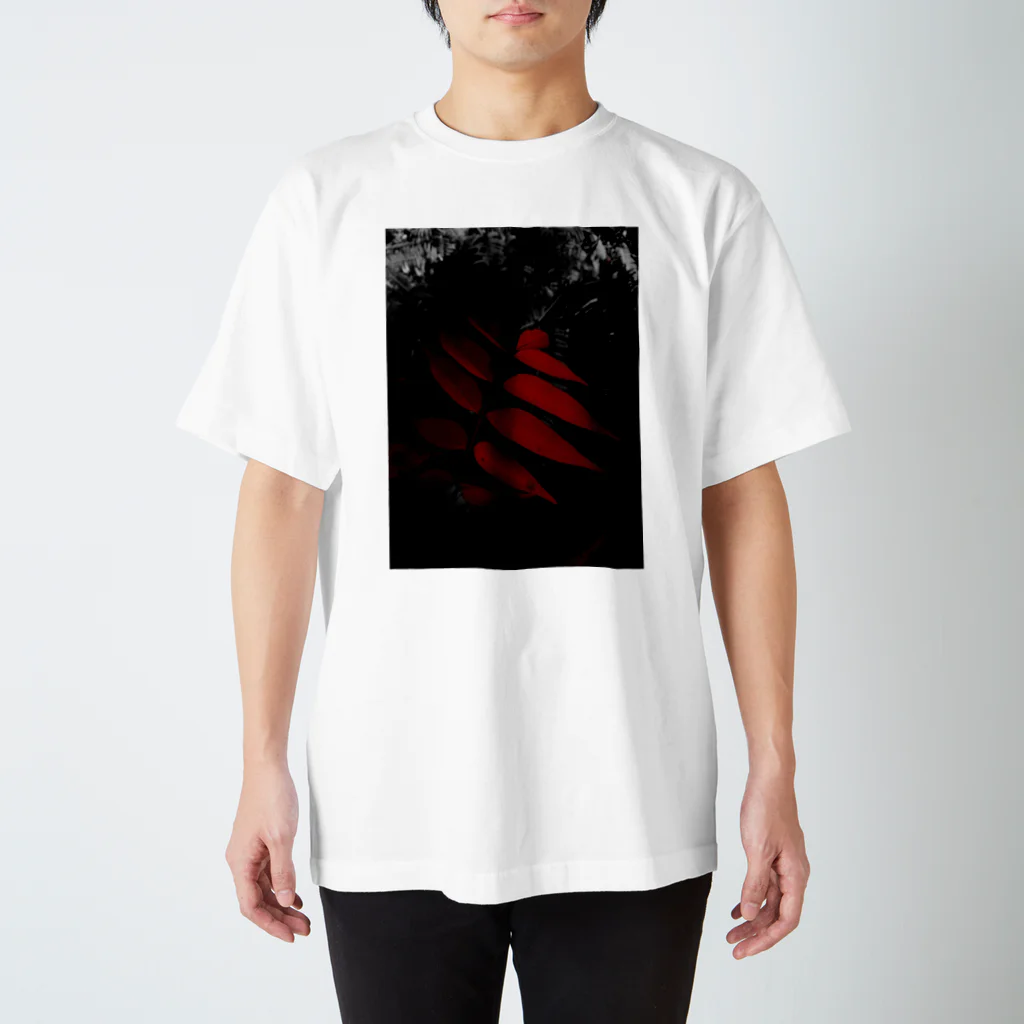 Kousei higashiの紅色 スタンダードTシャツ