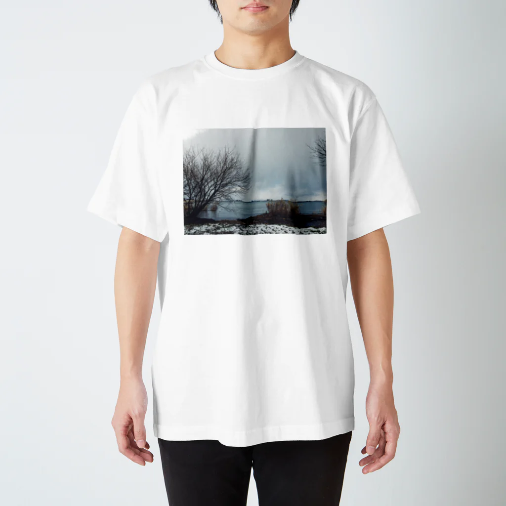 yosuke_kamの冬景色（びわ湖） スタンダードTシャツ